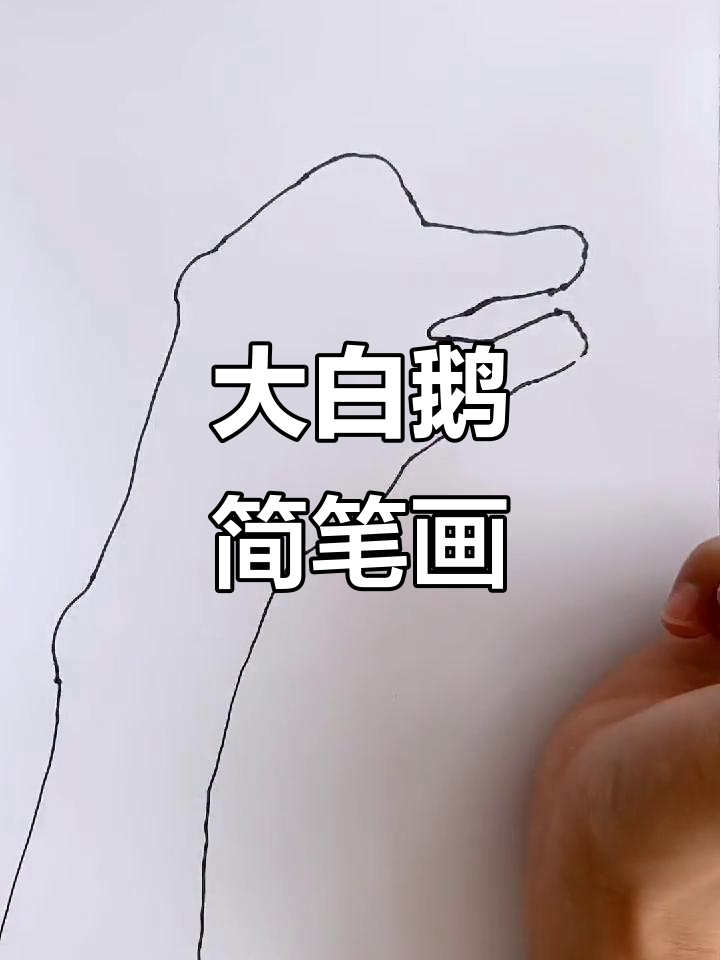 快手上的趣味视频,随手画只大白鹅,真是欢乐满满!