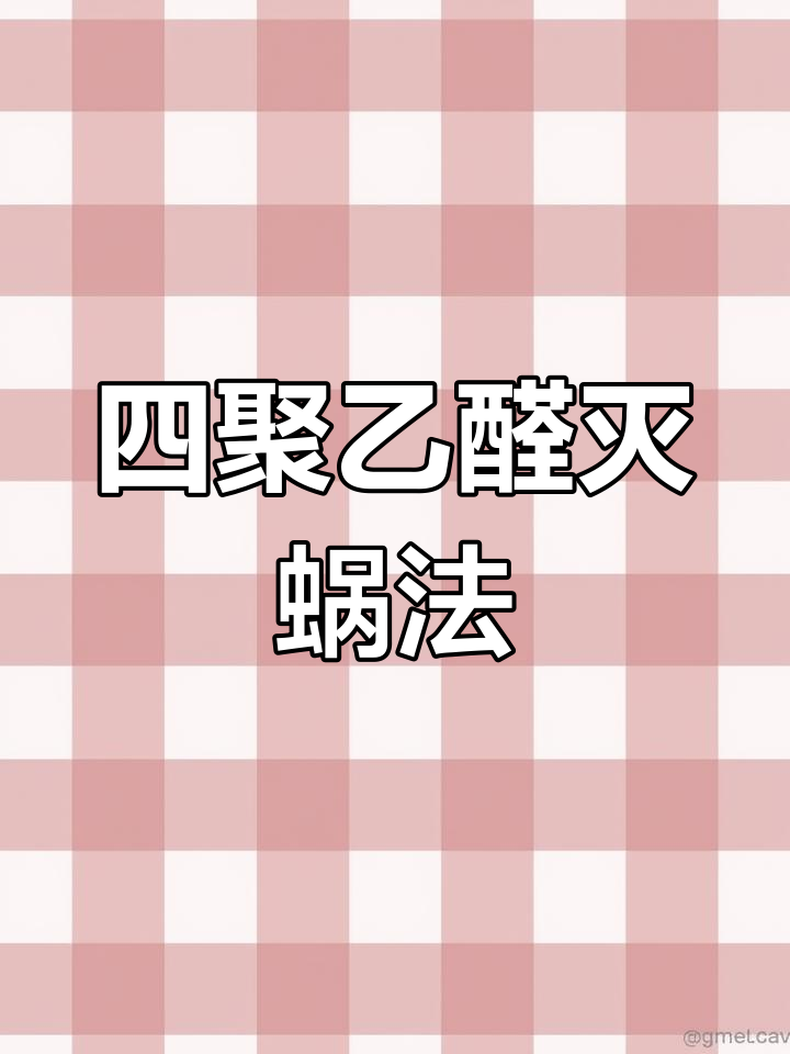 菜地蜗牛成灾?教你用四聚乙醛轻松搞定!