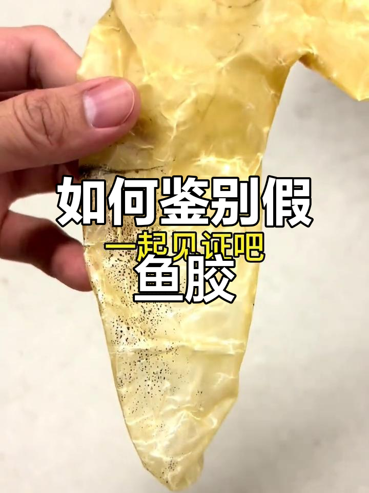 真假鱼胶大揭秘,蒸烧法教你辨别真伪