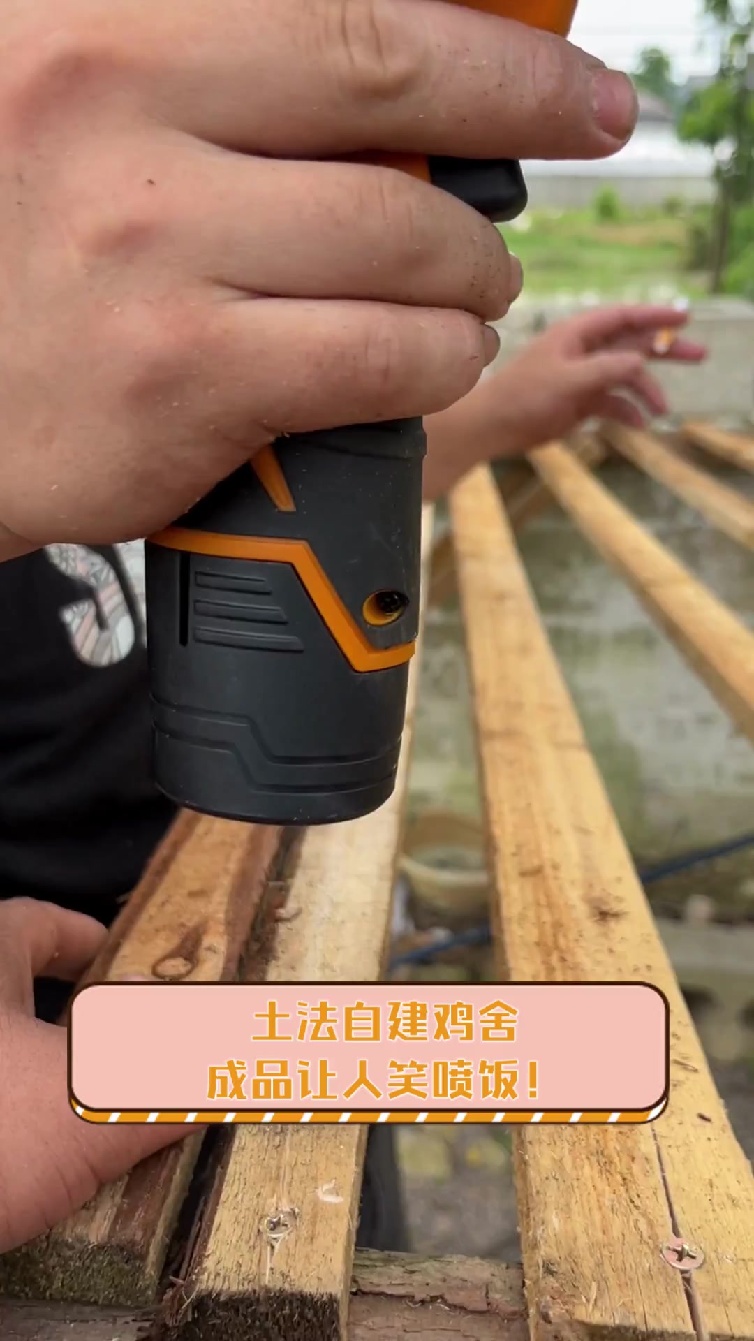 土法自建鸡舍,成品让人笑喷饭!