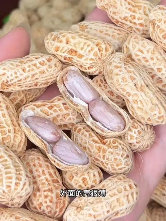 1新货「真水煮500g」龙岩水煮晒干花生咸干白晒花生水煮花生坚果零食