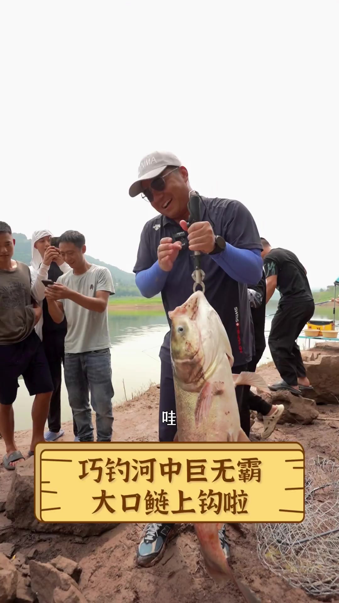 巧钓河中巨无霸,大口鲢上钩啦