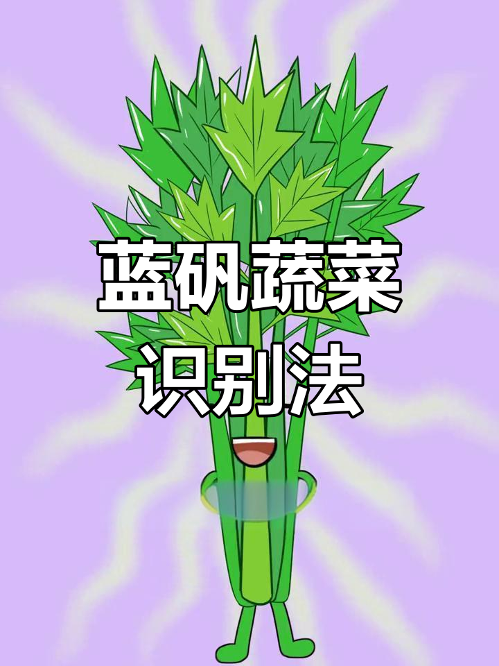 如何辨别蓝矾蔬菜?芹菜韭菜选购技巧全解析