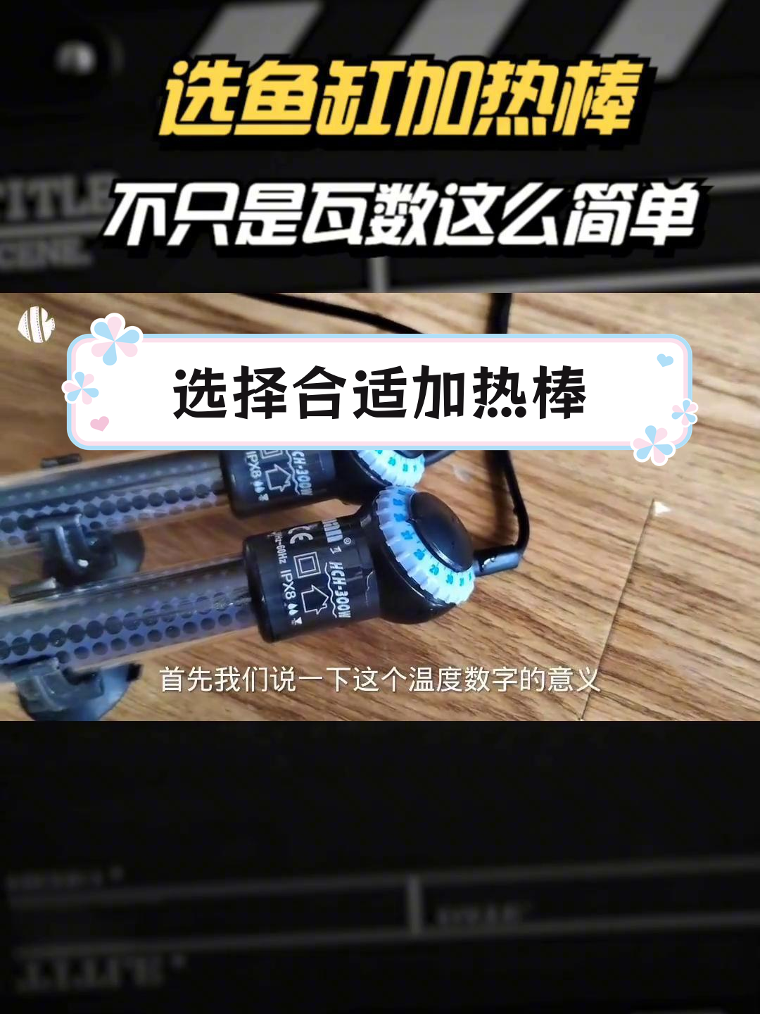 加热棒选择细节解析,保持鱼缸温度稳定