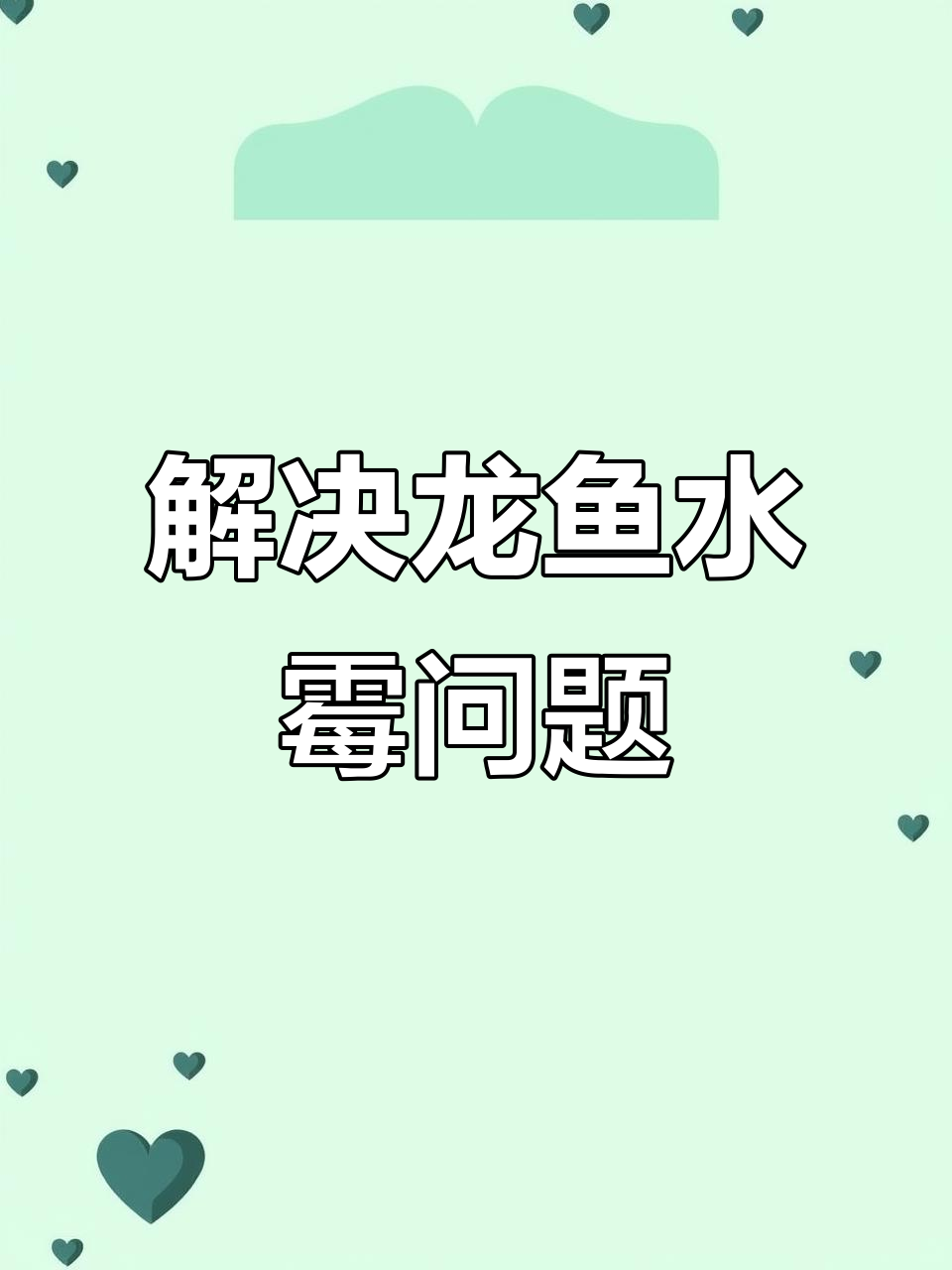 龙鱼水霉病原因及解决方案,打造强大过滤系统
