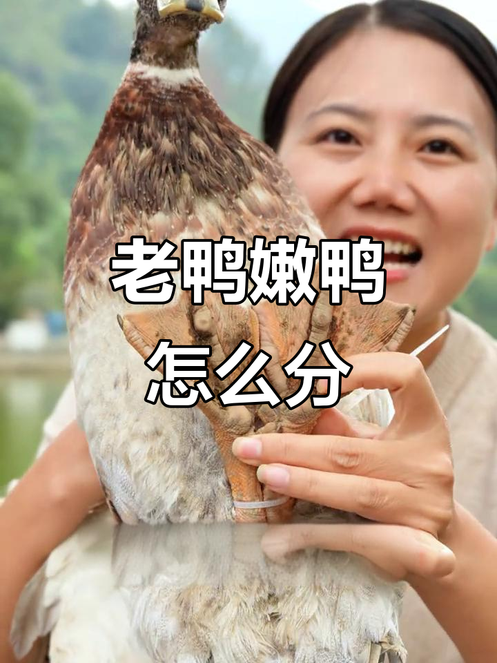 如何分辨老鸭与嫩鸭?看脚底板和嘴巴硬不硬