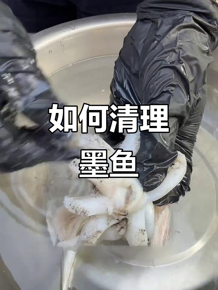 墨鱼清洗全攻略,教你如何轻松处理内脏和眼睛