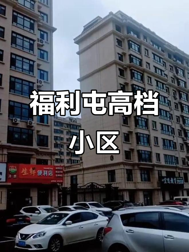 集贤县福利屯最豪华小区,紧邻四中,房价破4千