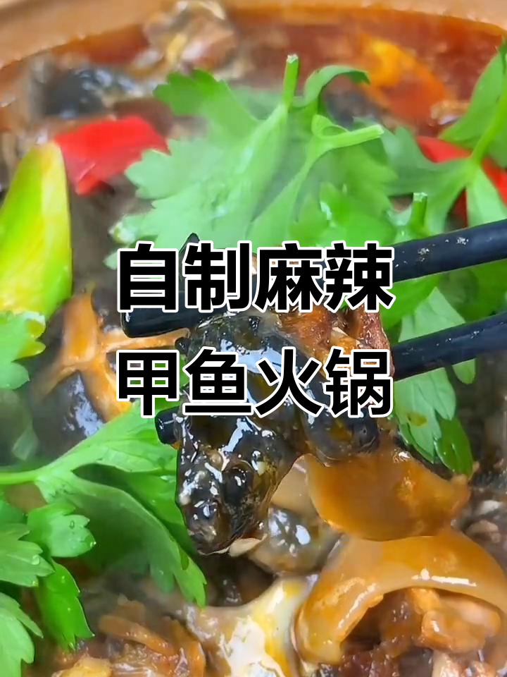 甲鱼火锅新做法,软烂入味又营养,香辣口感让人停不下来