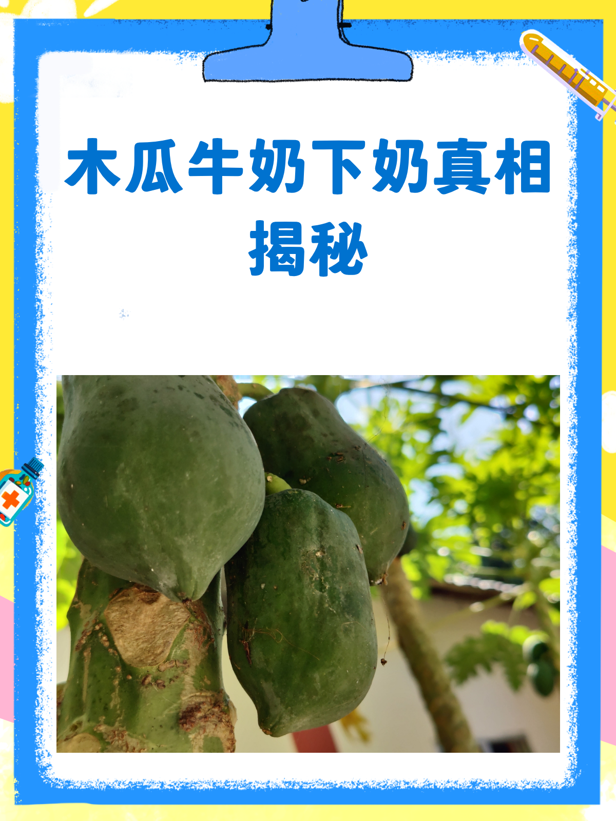 木瓜牛奶下奶?真相揭秘