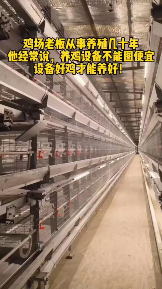 金璧盛自动鸡笼设备种鸡笼蛋鸡养殖设备