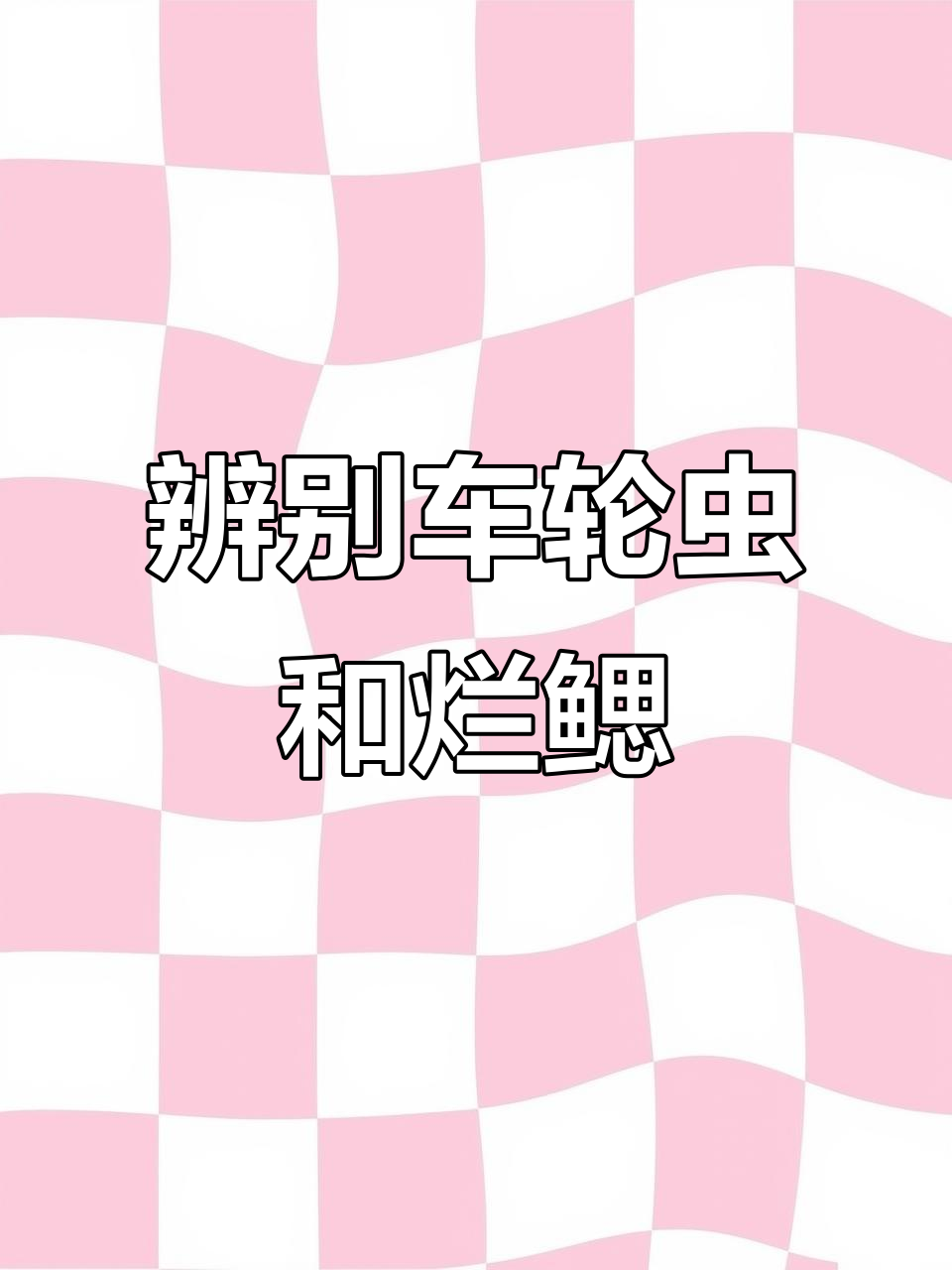 如何通过肉眼分辨车轮虫、指环虫与烂鳃病