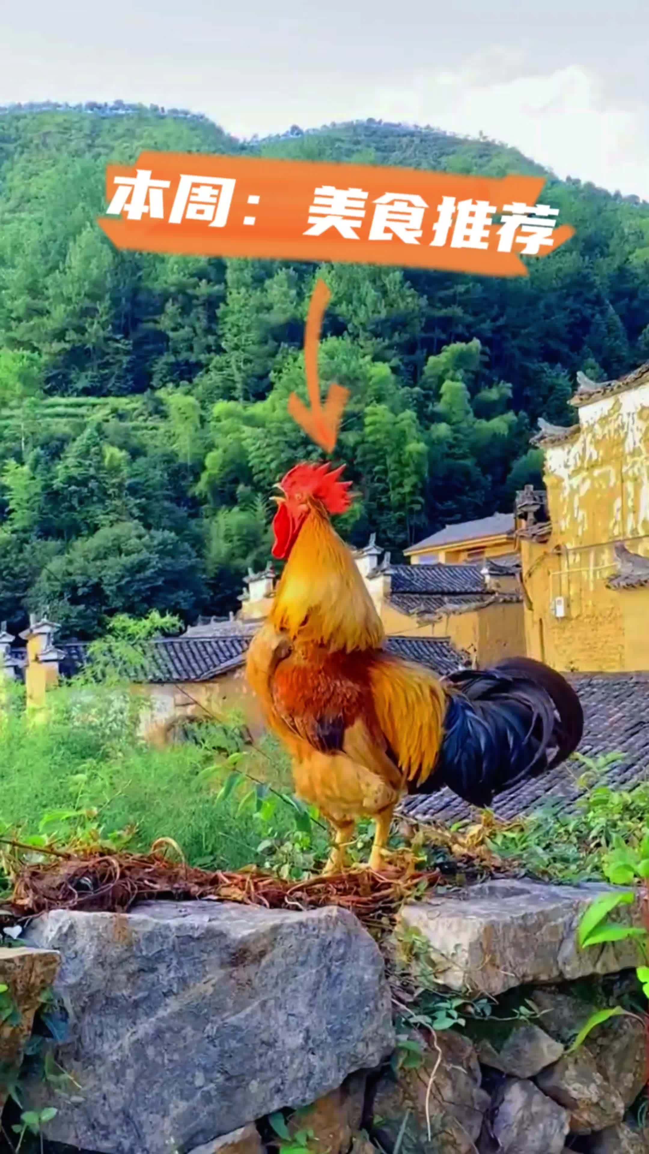 本周美食推荐,秦记息烽辣子鸡,一道源自贵州息烽的经典美食。同城热门 同城发现 黔航文旅 走