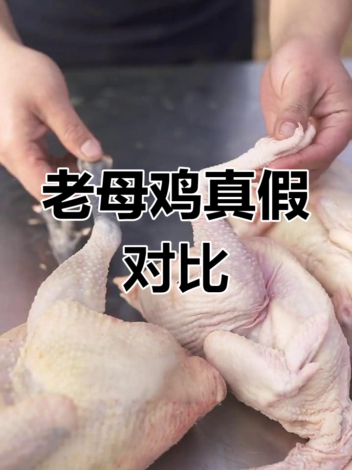 土鸡与市场老母鸡的差别,买一送一的真相揭秘