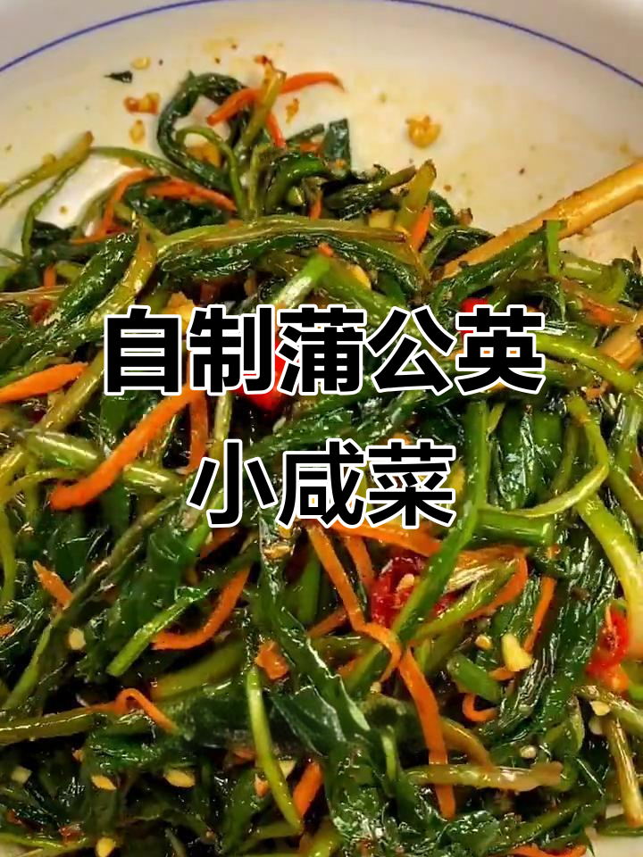 蒲公英咸菜这样做,简单又美味!婆婆丁家常做法大揭秘