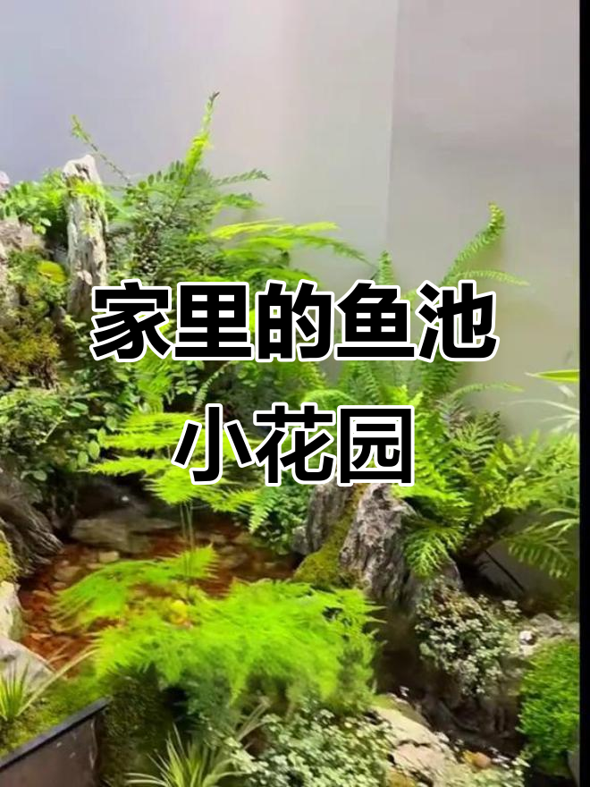室内鱼池花园打造,我爸都不去钓鱼了