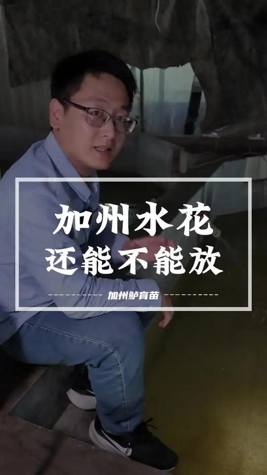 加州鲈鱼苗滞销,还能标加州鲈鱼水花吗?我劝你要三思!