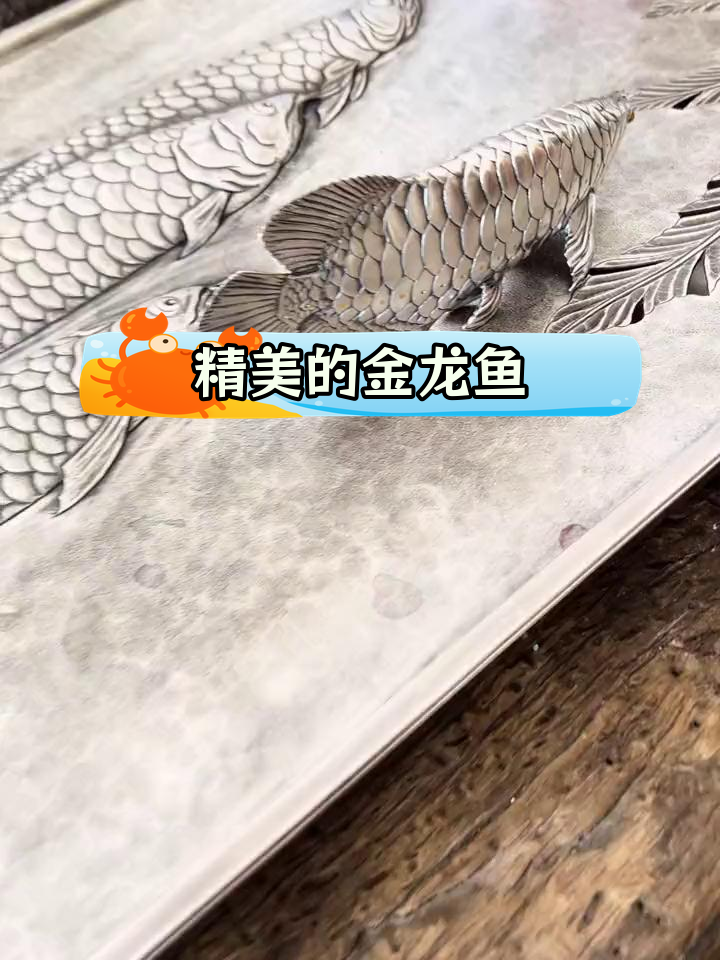 用银打造的金龙鱼,精美又有趣