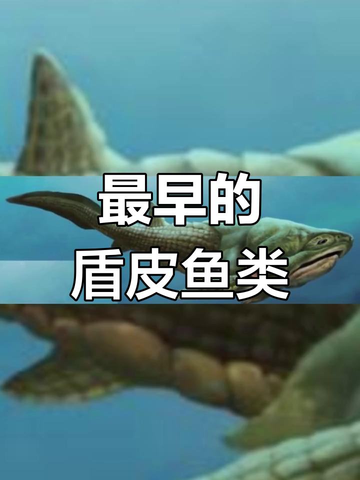 最早的长嘴鱼:初始全颌鱼的演化奥秘