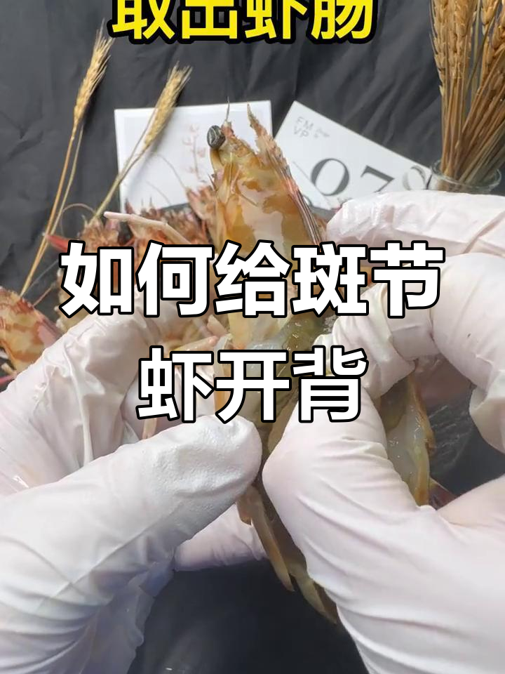 斑节虾开背技巧大揭秘