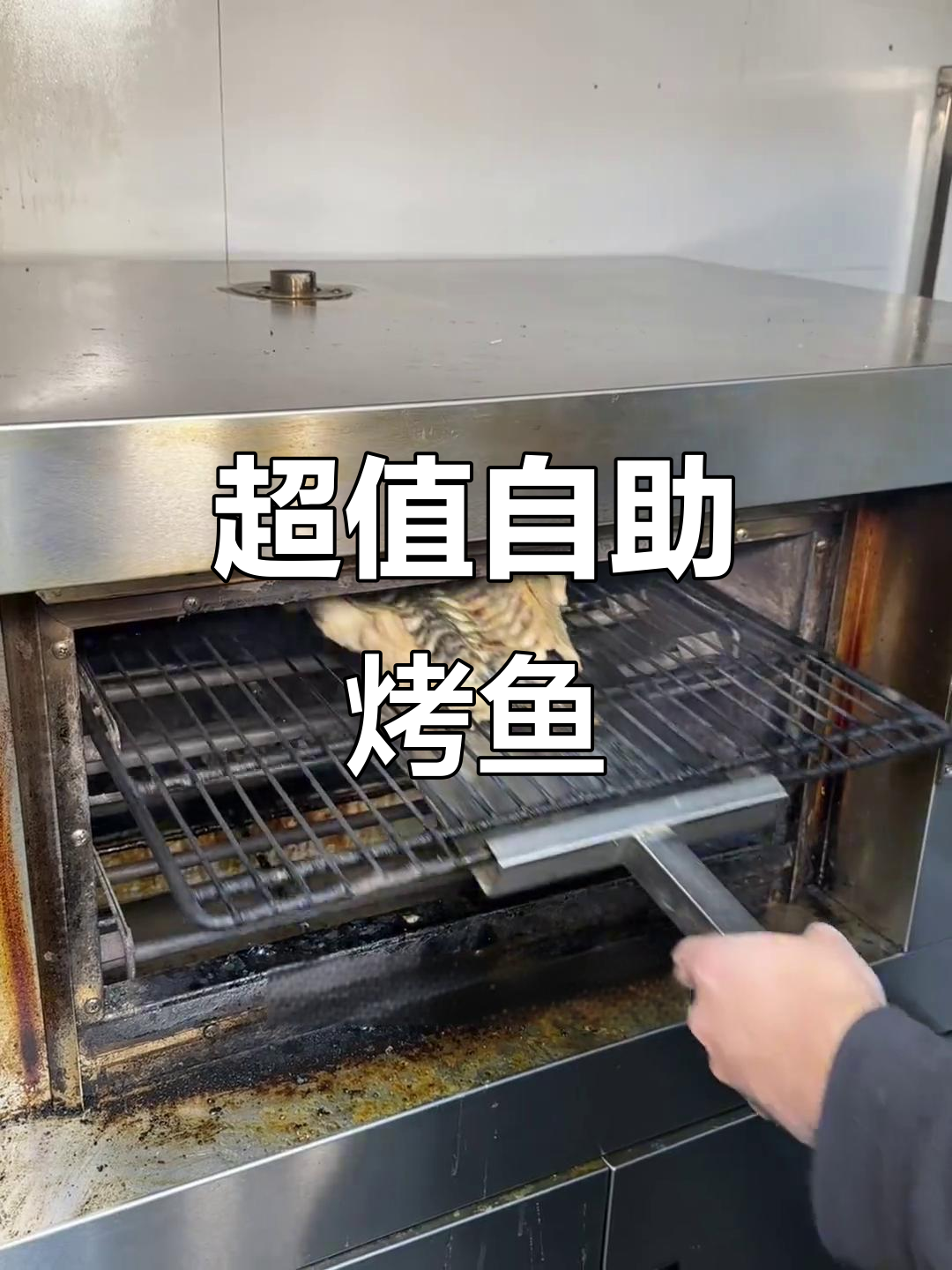 临沂这家自助烤鱼店,百元以内吃到爽!七种口味任你选