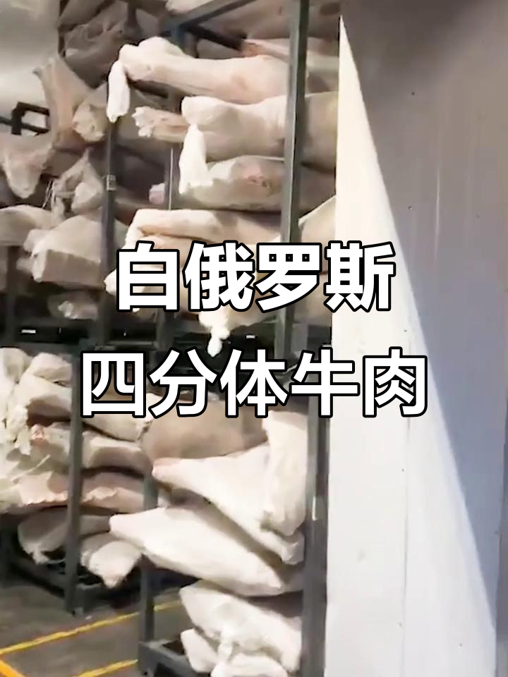 海南海上丝路进口白俄罗斯四分体牛肉,品质保证