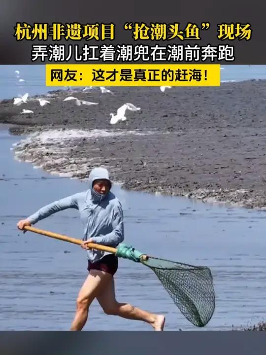 杭州非遗项目“抢潮头鱼”现场,弄潮儿扛着潮兜在潮前奔跑……