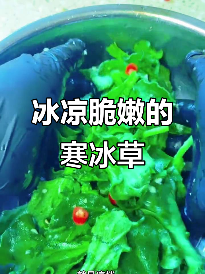 清爽冰草凉拌菜，简单又美味