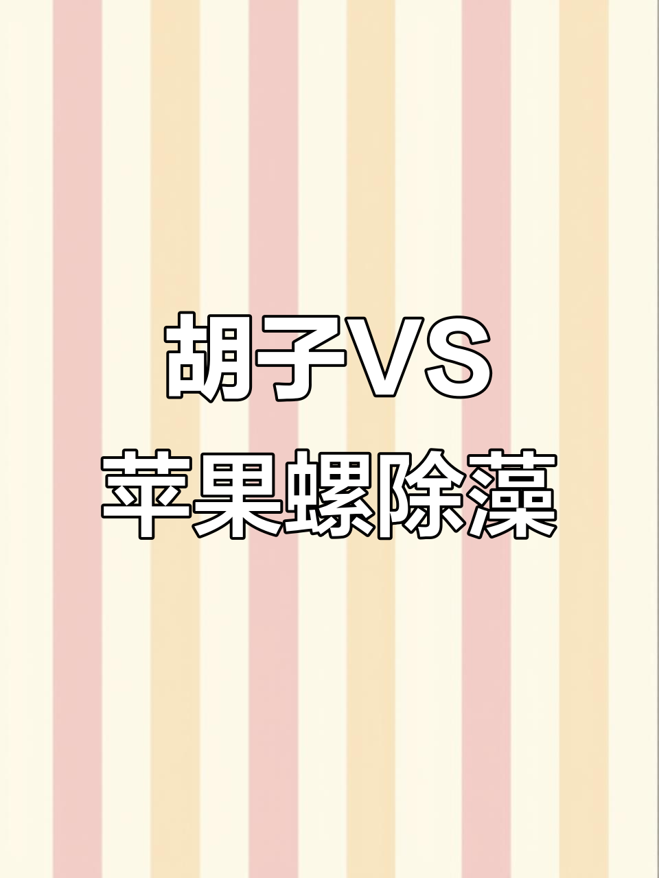 黄金胡子和苹果螺除藻能力大比拼,谁更强?