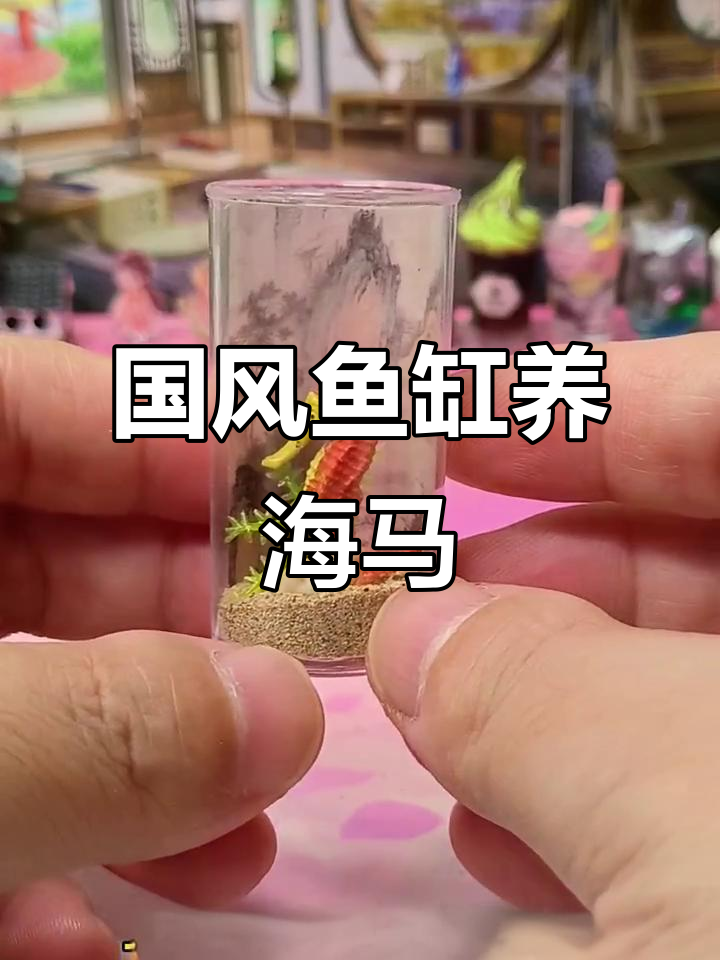 用国风鱼缸打造小海马造景，简单又可爱！