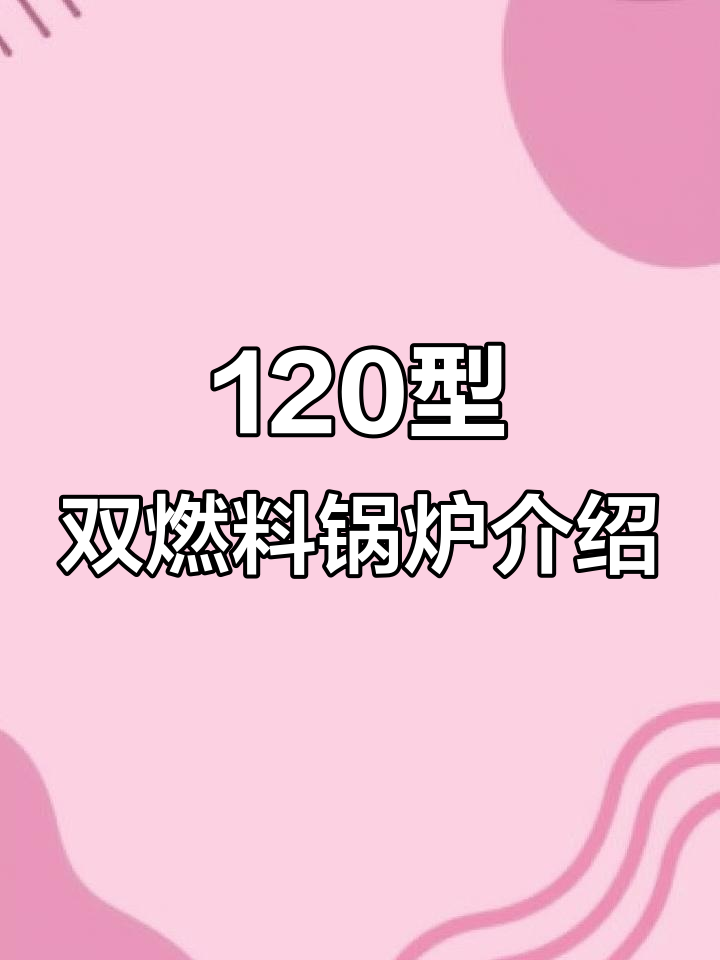 120公斤煤柴两用锅炉结构详解,点火效果实测