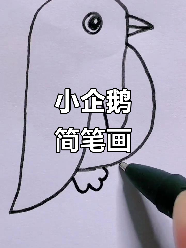 轻松画出可爱小企鹅,步骤简单又有趣