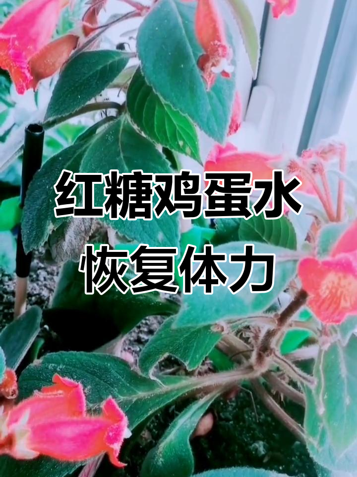 每天早上一杯红糖鸡蛋水,让你充满活力