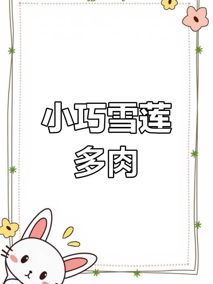 雪莲多肉:短小精悍,叶片如防晒霜般厚实