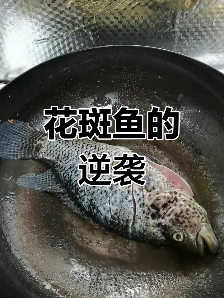 花斑鱼身价暴涨,口感超越鲈鱼,营销手段真厉害!