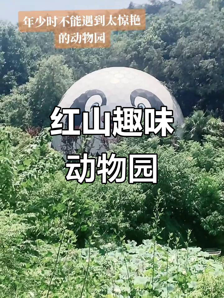 南京红山动物园,亲子科普乐园,动物手绘海报超有趣!