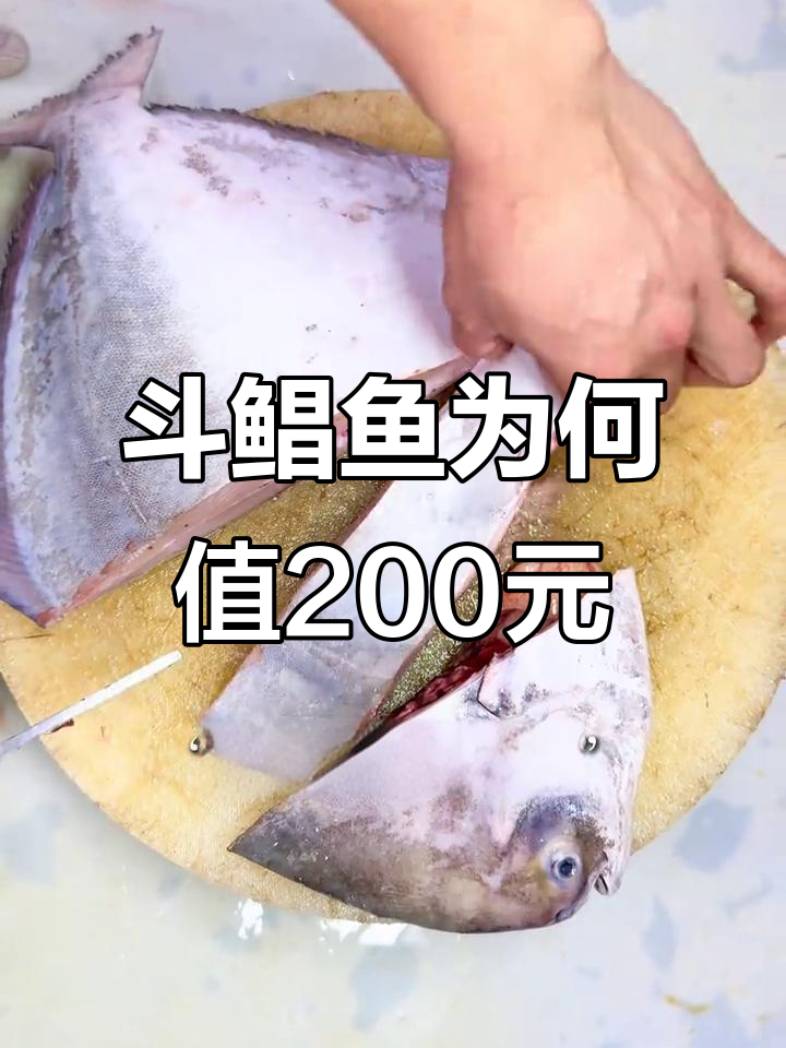为什么斗鲳鱼敢卖两百块一斤？揭秘养殖成本与市场价格