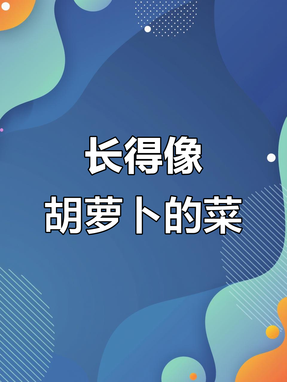 金玉兰菜:像胡萝卜一样的神秘蔬菜,种植技巧大揭秘