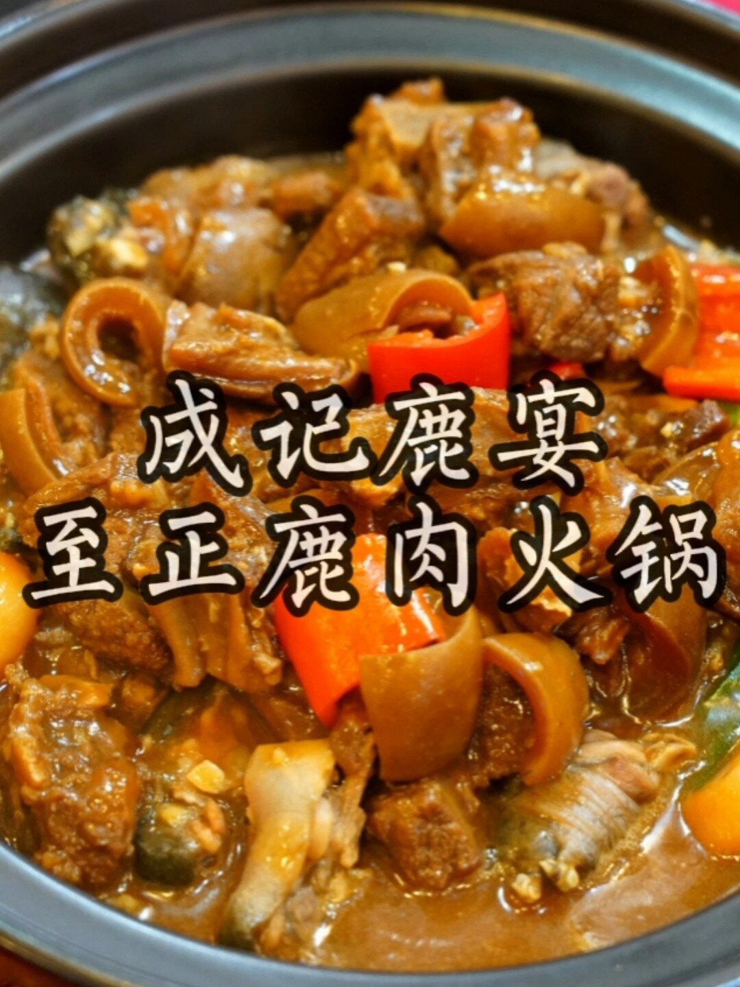 广州难得一见的鹿肉店鹿肉火锅甲鱼鹿煲绝了