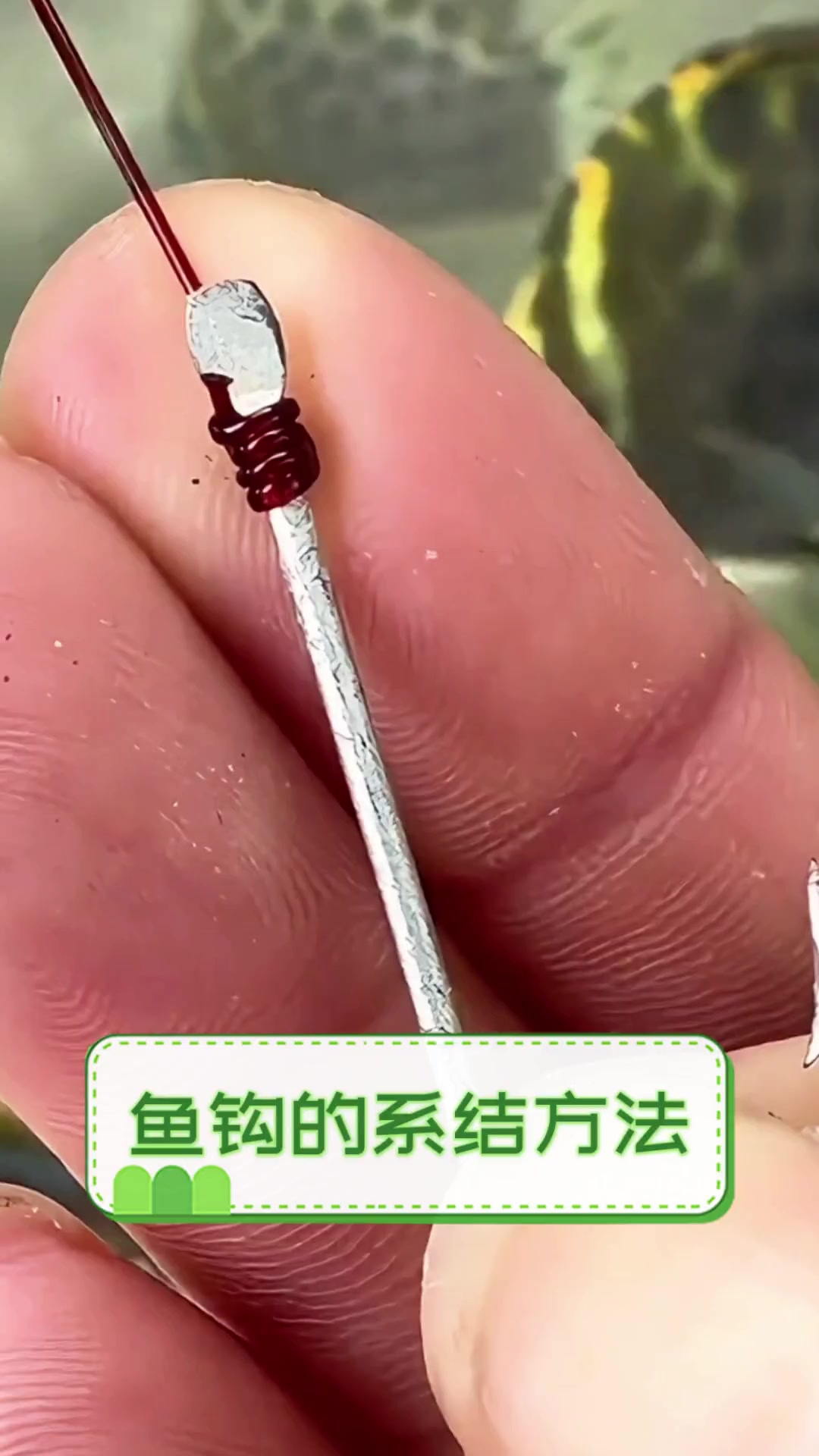鱼钩的系结方法