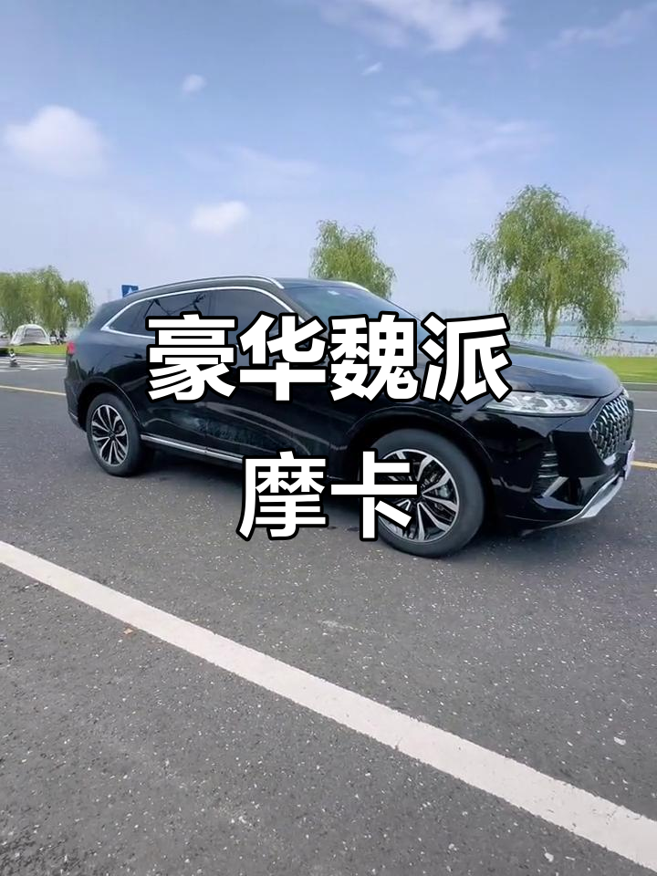 6月上市!魏派摩卡,豪华配置带全景天窗和座椅通风加热