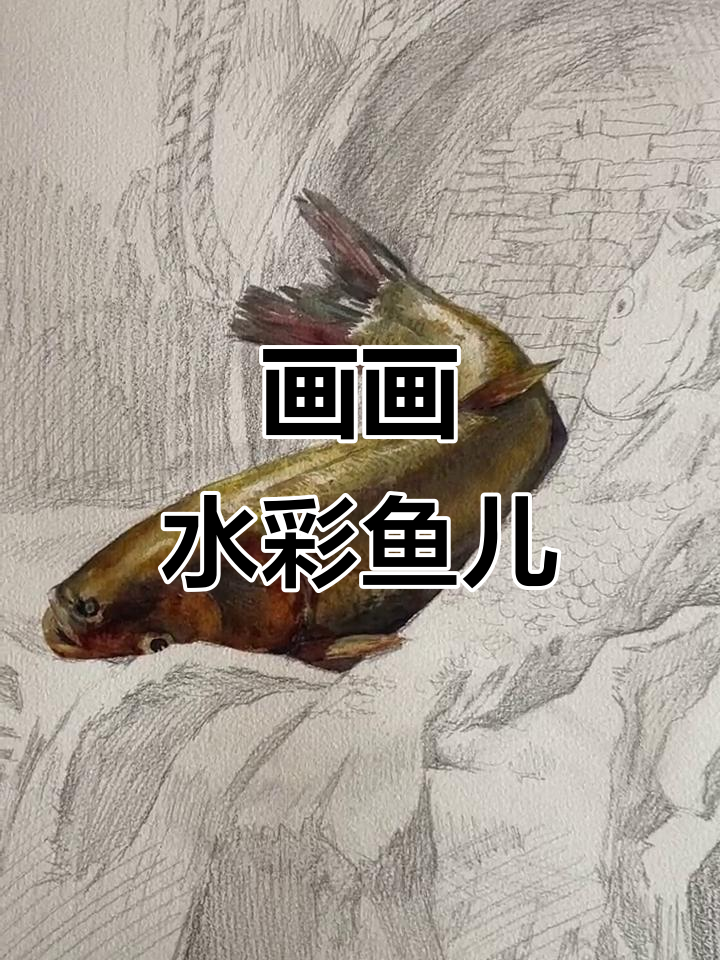 水彩画鱼,画出自然与艺术的美好碰撞