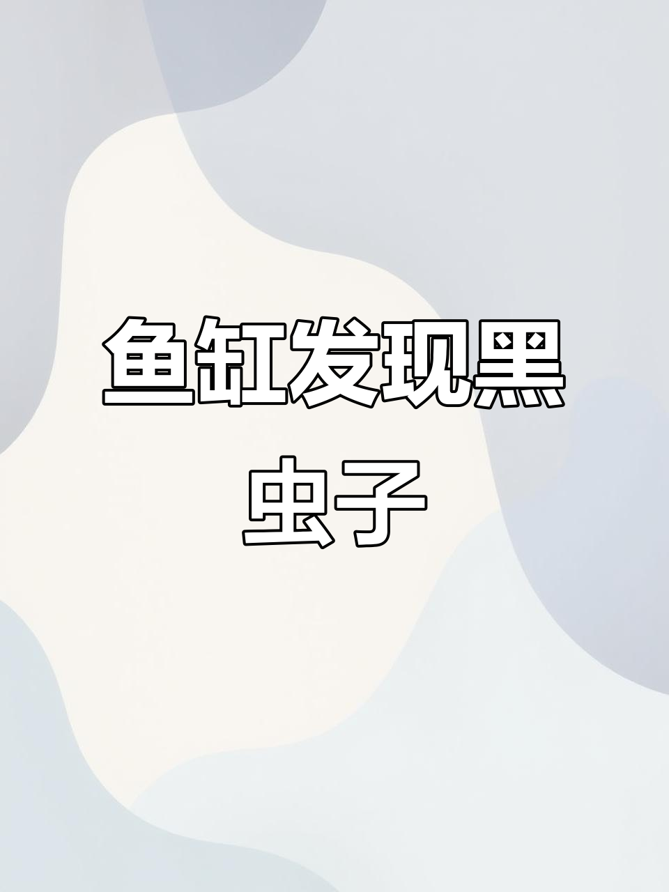 鱼缸里突然出现黑色小虫,怎么办?