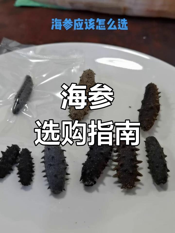 如何挑选海参?不同种类与品质全解析