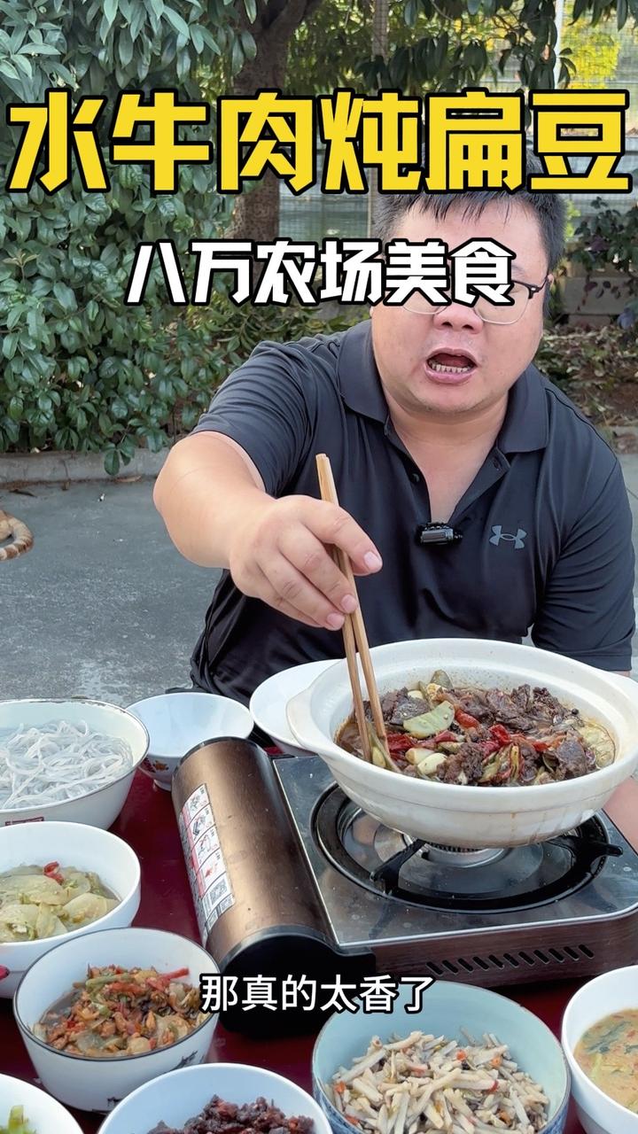水牛肉炖着吃比黄牛肉好吃！常德牛肉粉选水牛肉试试！