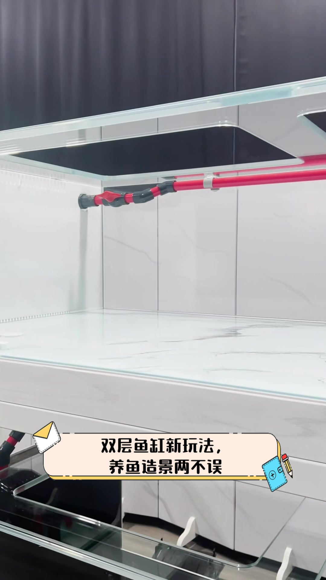 双层鱼缸新玩法,养鱼造景两不误