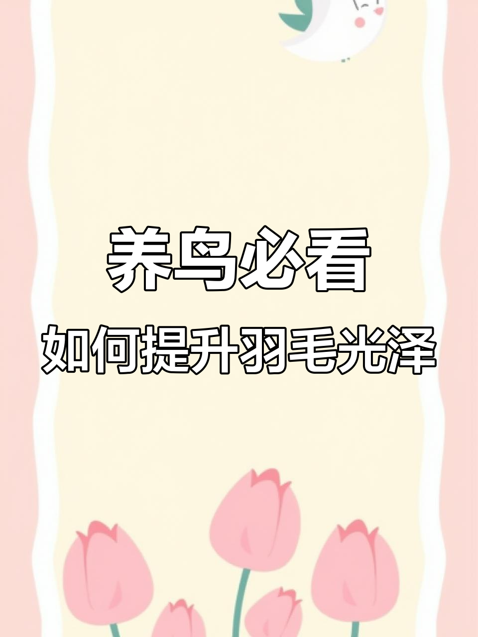 营养到位,毛色亮丽!科学养殖助力鸟类健康