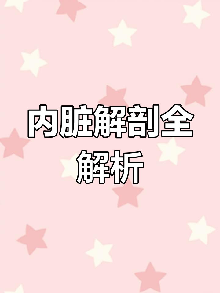 打开鸡腹,轻松识别内脏病变及异常