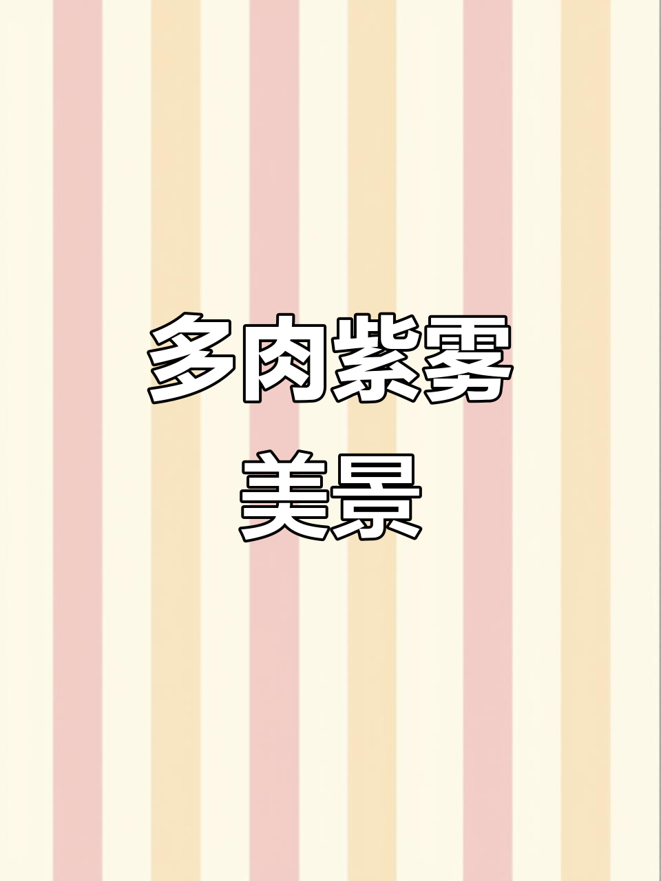 紫雾多肉植物,美丽如画,让人心旷神怡