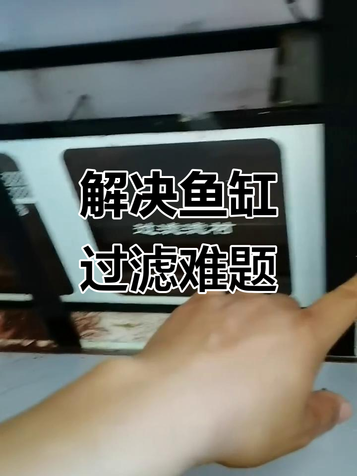 鱼缸过滤问题大揭秘,干湿分离和滤材搭配帮你解决